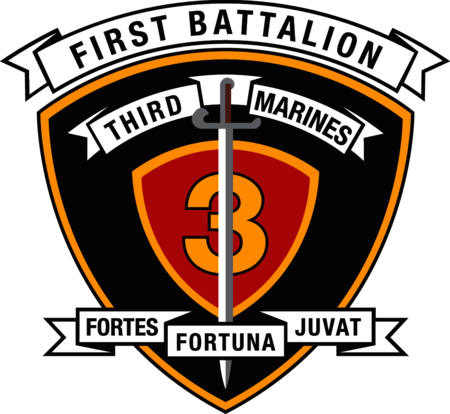 1st Battalion 3rd Marine Regiment USMC