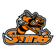 Sarnia Sting
