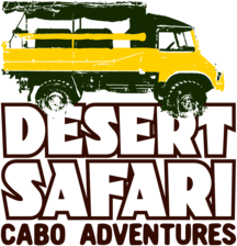 Desert Safari