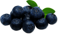 Blueberries Close Up