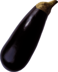 Single Eggplant