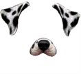 Snapchat Filter Dalmatian Dog
