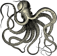 Vintate Octopus Tattoo