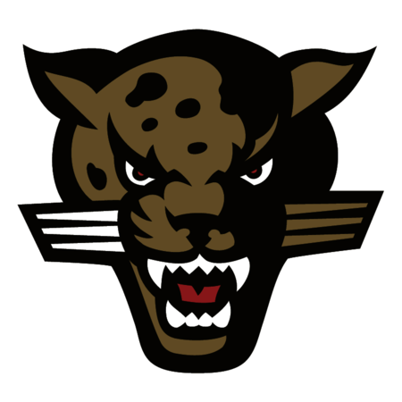 IUPUI Jaguars
