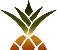 Busch's Grocery Pineapple 