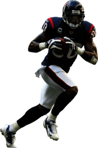 Houston Texans Player