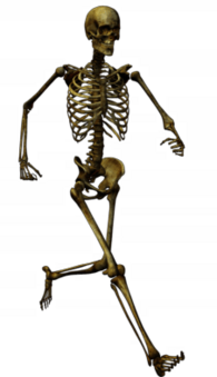 Running Skeleton