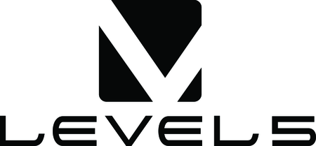 Level 5