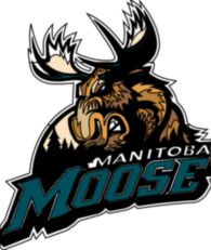 Manitoba Moose