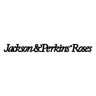 Jackson & Perkins Roses