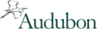 Audubon