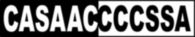 Casaac Cccssa