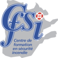 CFSI