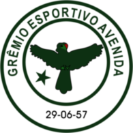 Gremio Esportivo Avenida de Soledade RS