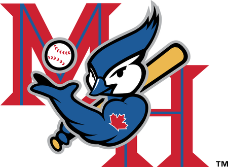 Medicine Hat Blue Jays