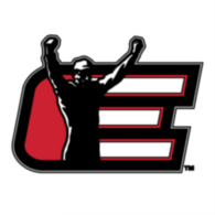 Dale Earnhardt Inc