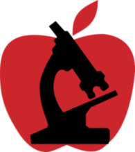 New York Society Of Infecti