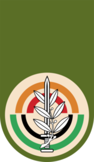 Israel Army Unit