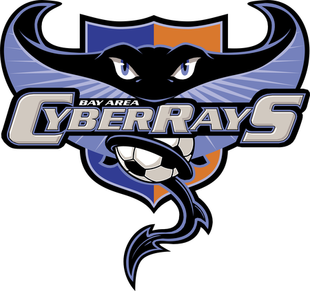 Bay Area Cyberrays