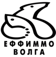EffimmoVolga