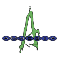 Amnesia