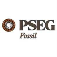 Pseg Fossil