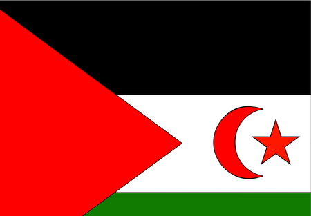 Flag of Western Sahara