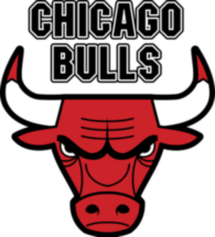 Chicago Bulls 1