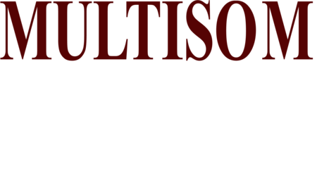 Multisom