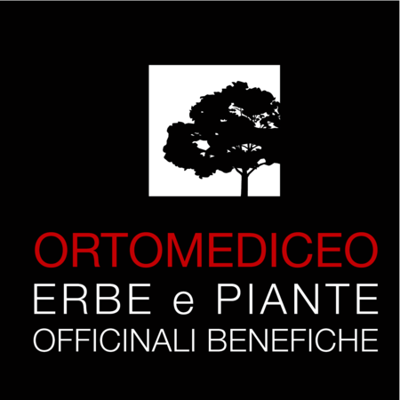 ortomedico