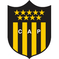 Asociación Civil Club Atlético Pié de Palo de Pié de Palo San Juan