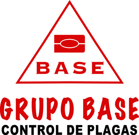 Grupo Base