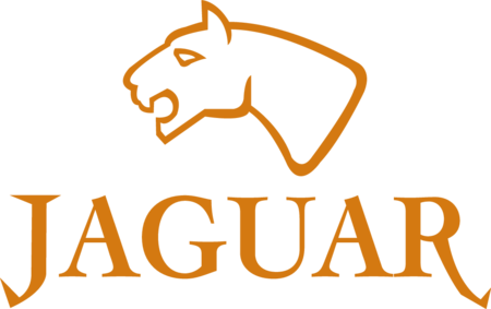 Jaguar watches