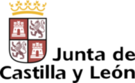 Junta De Castilla Y Leon