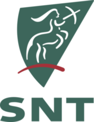 SNT Group