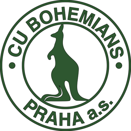 Bohemians 1905
