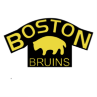 Boston Bruins