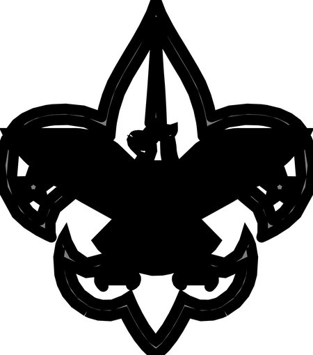Boy Scouts 1