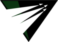 Raliegh Durham Skyhawks