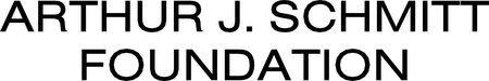 Arthur J Schmitt Foundation