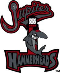 Jupiter Hammerheads