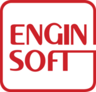 EnginSoft
