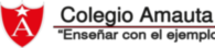 Colegio Amauta
