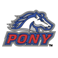 Pony