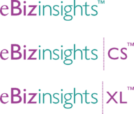 eBizinsights