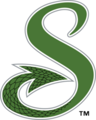 Shreveport Swamp Dragons