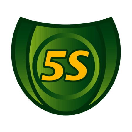 5S