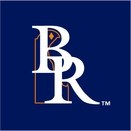 Wilmington Blue Rocks