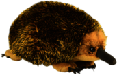 Echidna Plush Toy