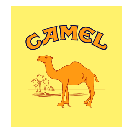 Camel